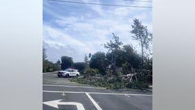 Trees and power lines 'falling left and right' wreak havoc on Bay Area roadways