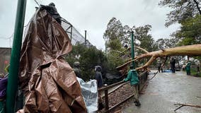 3 birds recovered after escape from aviary at Oakland Zoo during storm