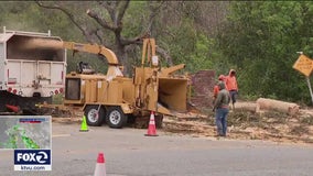 City of Saratoga allocates $800K towards recent storm damage, fallen trees