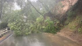 Landslide in San Rafael shuts road, takes down trees