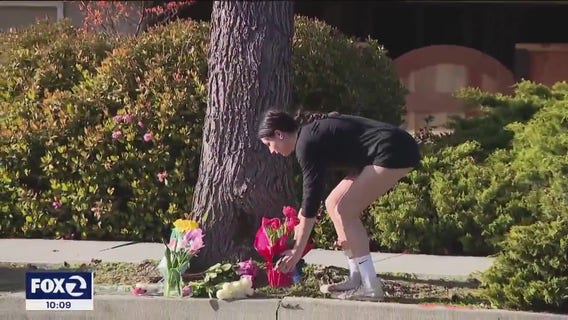 Arrest made in San Jose hit-and-run that left mother, dog dead