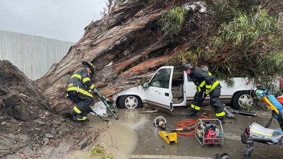 Bay Area emerges from deadly storm