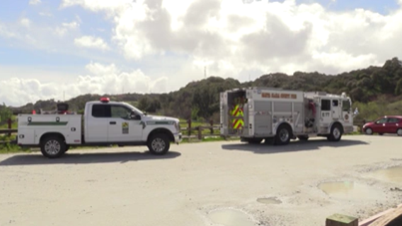 Boy Scout's mom killed by falling tree during hike in county park