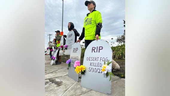 Filly euthanized; 4th horse death at Golden Gate Fields this year