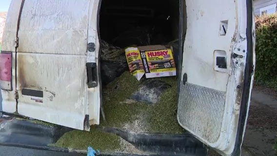 Burned out van, filled with marijuana, left in residential Santa Rosa street