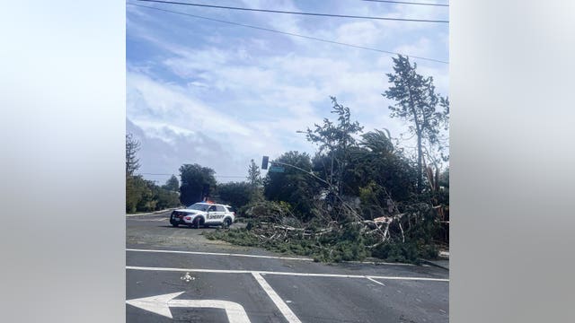 Trees and power lines 'falling left and right' wreak havoc on Bay Area roadways