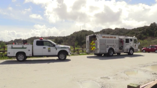 Boy Scout's mom killed by falling tree during hike in county park