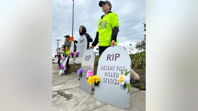 Filly euthanized; 4th horse death at Golden Gate Fields this year