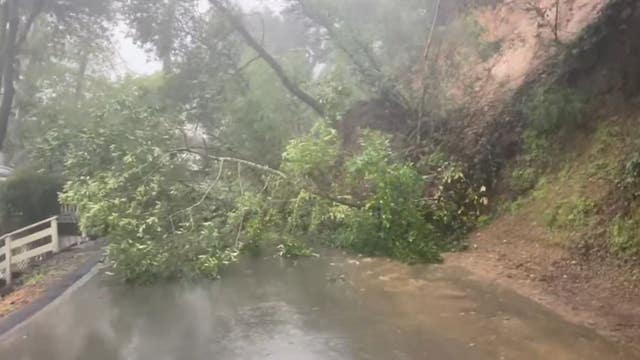 Landslide in San Rafael shuts road, takes down trees