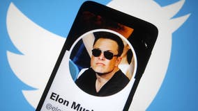 Elon Musk says owning Twitter is 'painful' but needed to be done