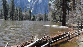 Yosemite National Park to close much of valley as flooding risk grows