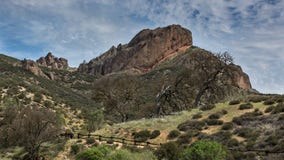 Here are the most popular national parks for birdwatching this spring