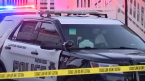 Carjacking suspect shot and killed by Newark and Fremont police officers, CA DOJ investigating