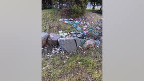 Richmond community garden featuring developmentally disabled artists' work vandalized