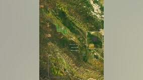 California's super bloom visible from space