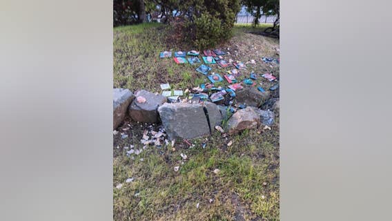 Richmond community garden featuring developmentally disabled artists' work vandalized