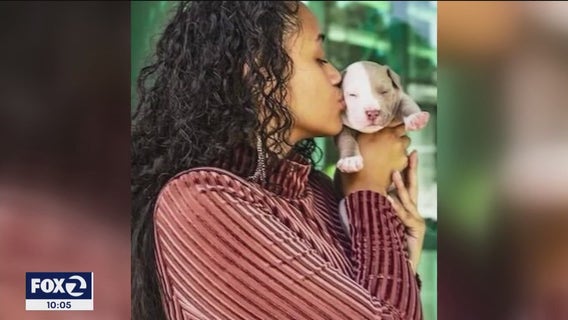 Dog fatally beaten, stabbed and found in garbage can in Hercules