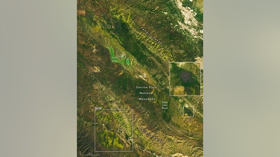 California's super bloom visible from space