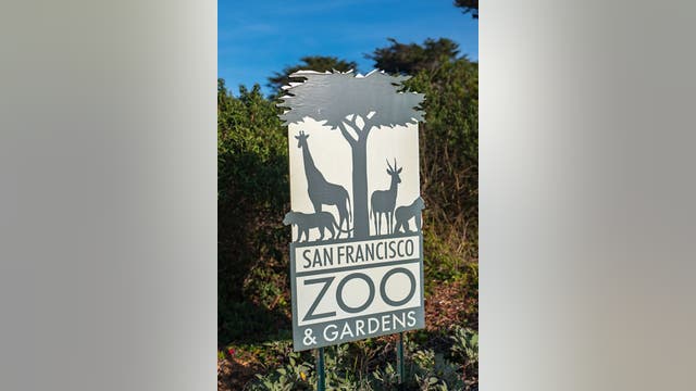 San Francisco zoo welcomes 9 newly born prairie dog pups