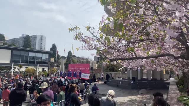 Cherry blossoms in bloom, parade returns to Japantown: Arts & culture events