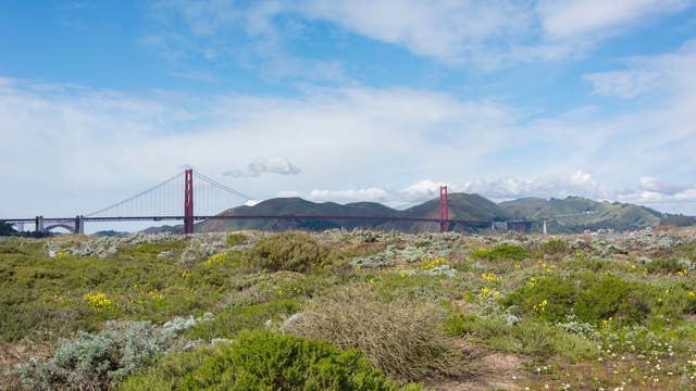 U.S. Park Police: Body found in Crissy Field parking lot