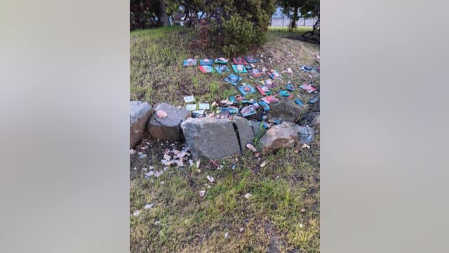 Richmond community garden featuring developmentally disabled artists' work vandalized