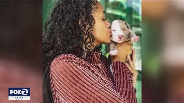 Dog fatally beaten, stabbed and found in garbage can in Hercules