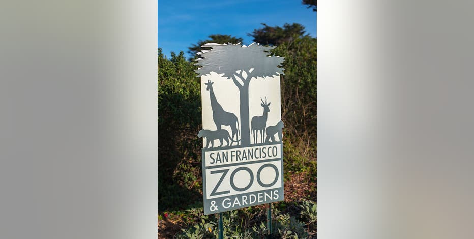 San Francisco zoo welcomes 9 newly born prairie dog pups