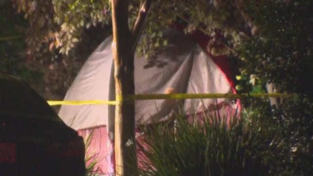 Davis stabbings: woman attacked in tent is city's 3rd recent victim