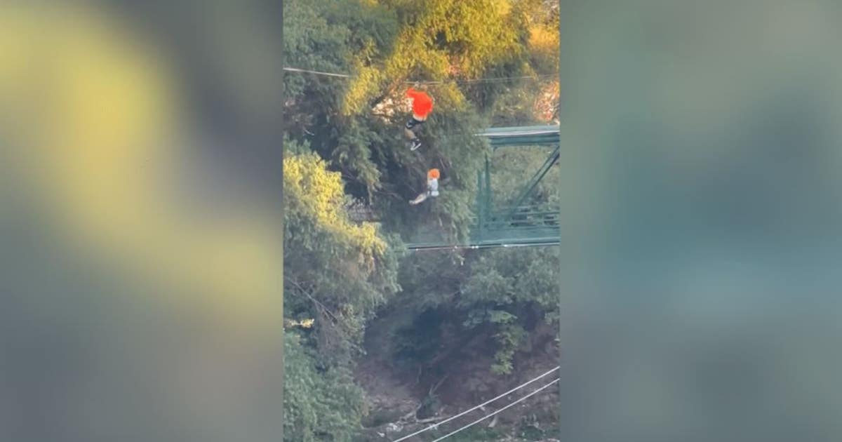 6-year-old boy survives 40-foot fall from zipline after harness snaps ...