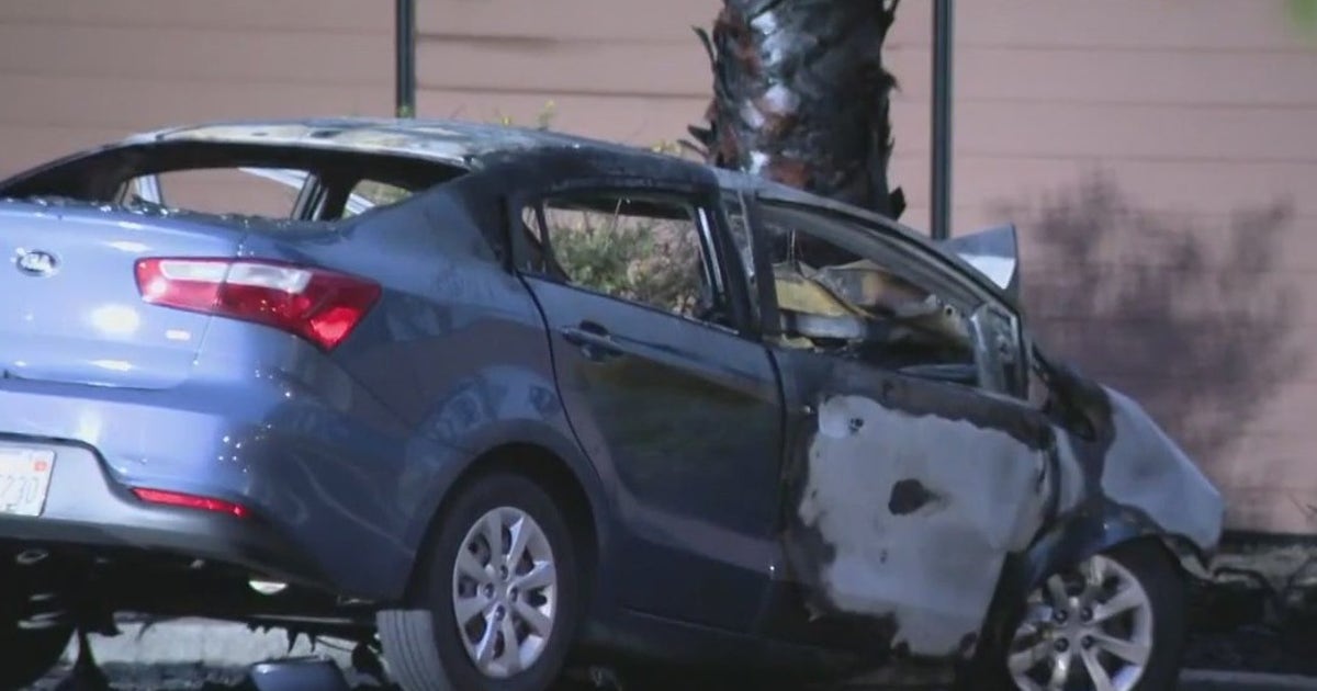 Passenger dies after stolen Kia hits tree in San Jose in fiery crash ...