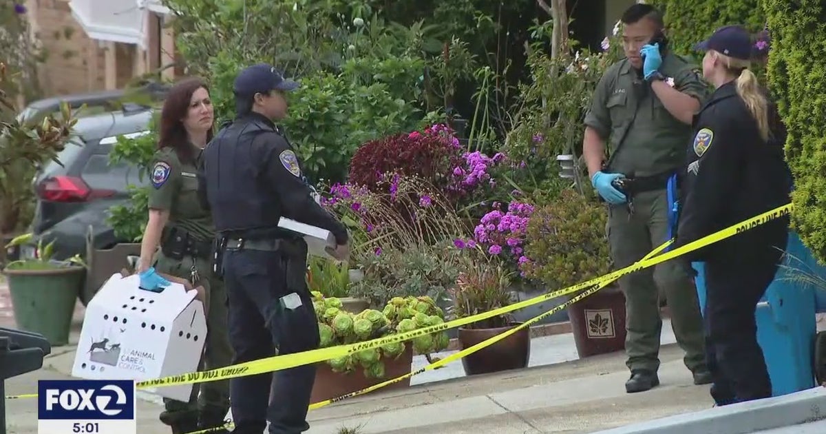 San Francisco man fatally shot by police after allegedly killing mom ...