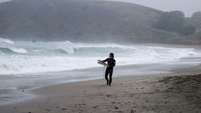 Popular Bay Area beach rife with fecal bacteria
