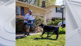 California ranks 1st in US for states with most postal worker dog bites: USPS