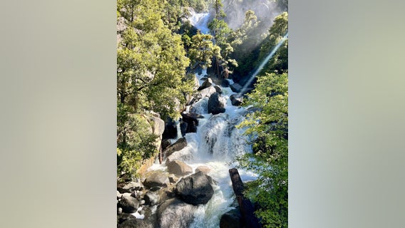 Yosemite National Park in the summer: What to expect