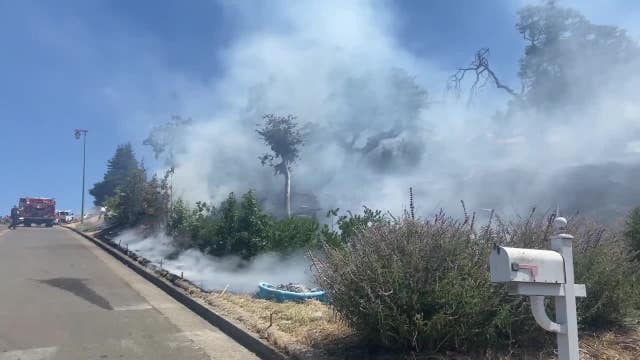 Santa Rosa officially declares fire season is here, begins weed control inspections