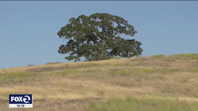Inland areas could hit the 90s this week, Bay Area firefighters prepare