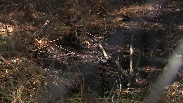 Petaluma homeowner puts out small brush fire before it spreads