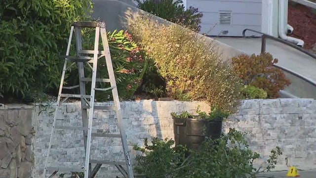 Oakland resident fatally shot while trimming trees in Maxwell Park neighborhood