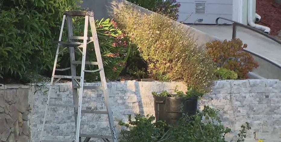 Oakland resident fatally shot while trimming trees in Maxwell Park neighborhood