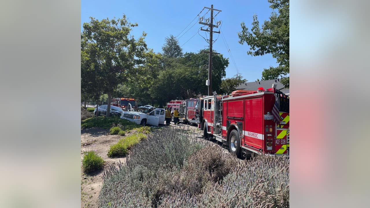 Mitchell Katz, Livermore winery owner, dies in crash - Vimarsana News