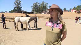 Equine therapy: Horses help veterans with PTSD