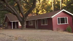 Petrified Forest in Calistoga going up for sale: report