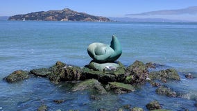 Mayor to swim across Bay to raise funds for iconic sea lion sculpture