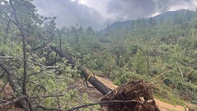 Damage from rare mountain tornado found near Colorado's Pike Peak at 9,500 feet