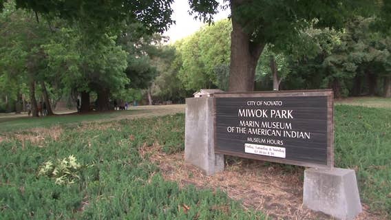 Bears spotted in Novato near park