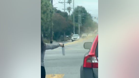 Driver arrested after using bear spray on motorist: Santa Cruz sheriff