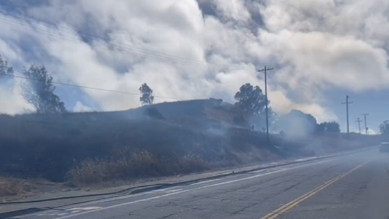 Grass fire burns 5 acres in San Francisco's McLaren Park