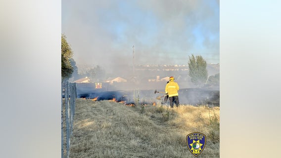 Vallejo MMA artist detains suspected arsonist with stolen Tesla: Reports