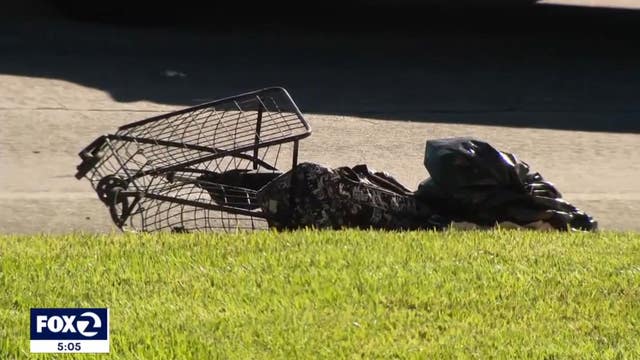 Drivers sought in separate hit-and-runs that killed 2 unhoused women in San Jose